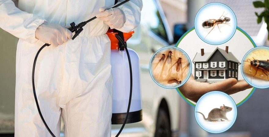 Keçiborlu Böcek İlaçlama