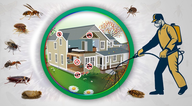 Keçiborlu Böcek İlaçlama