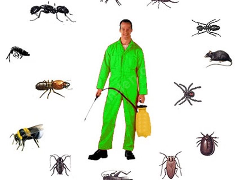 Keçiborlu Böcek İlaçlama